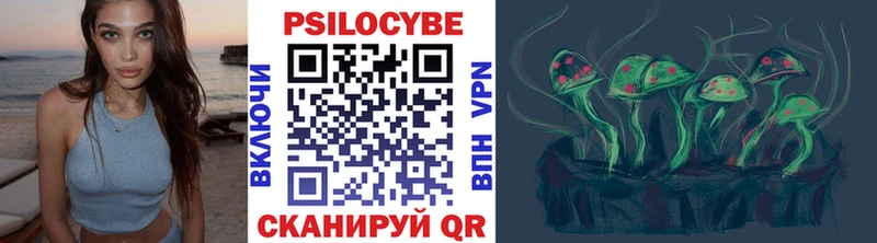 Галлюциногенные грибы прущие грибы  где можно купить   Вытегра 